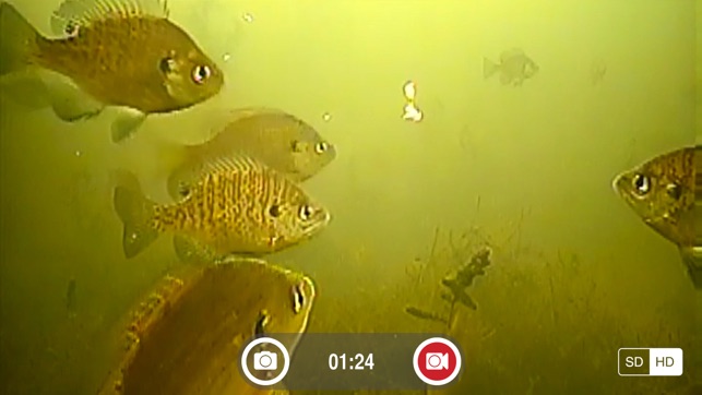 FishSens SondeCAM(圖3)-速報App
