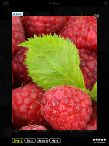 Screenshot #5 pour Kento Jigsaw Picture Puzzles