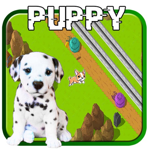 Puppy Top Down Traffic Road Crossing iOS App