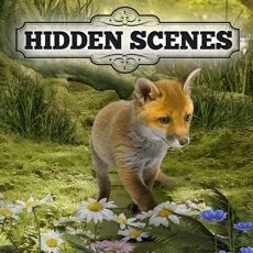 Activities of Hidden Scenes - Cute Critters