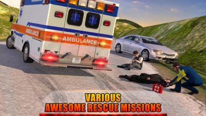 Ambulance Rescue Driving 2016 screenshot 4