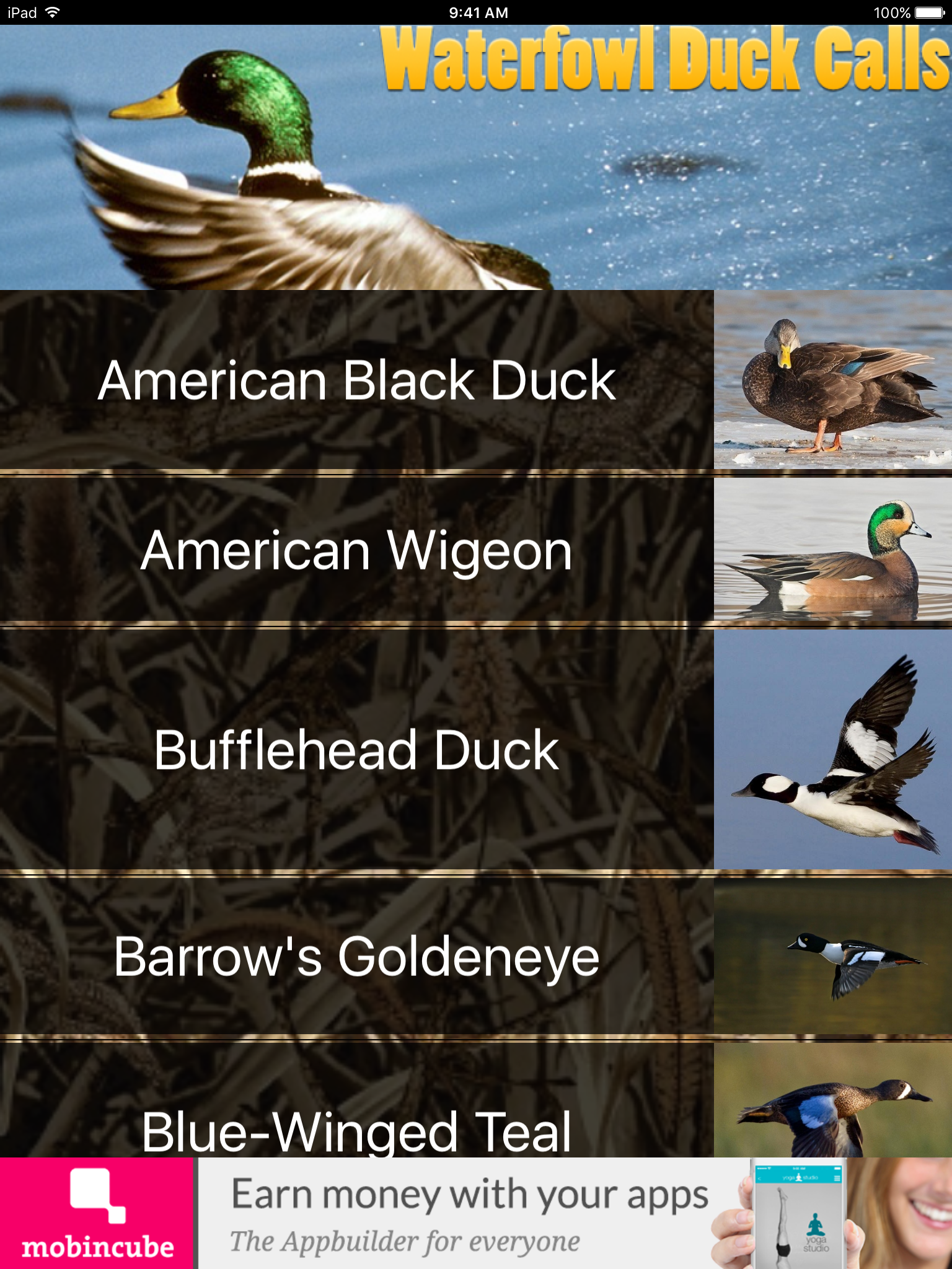 Waterfowl Duck Calls