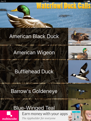 Screenshot #6 pour Waterfowl Duck Calls