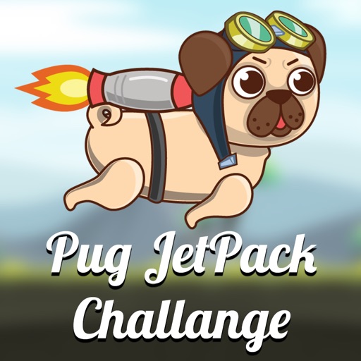 Pug JetPack Challange Icon