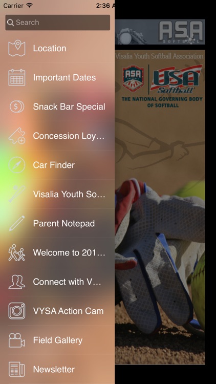 Visalia Youth Softball Association