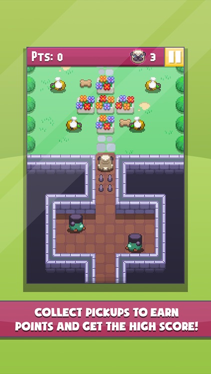 Pug's Quest