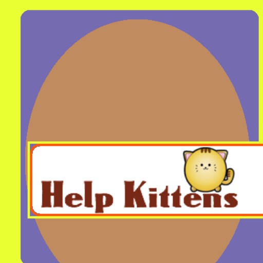 Help Kittens