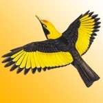 Download The Michael Morcombe and David Stewart eGuide to the Birds of Australia LITE app
