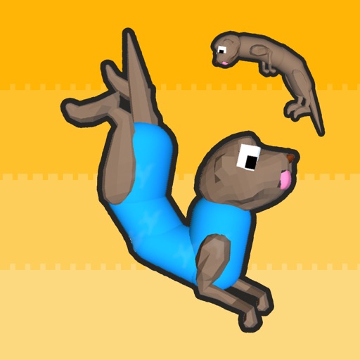 Otter Polo iOS App