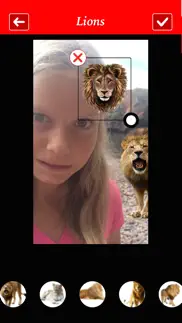 lion booth iphone screenshot 3