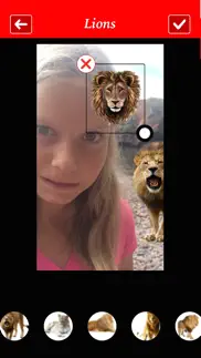 lion booth iphone images 3