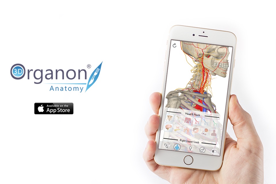 3D Organon Anatomy - Brain and Nervous System screenshot 4