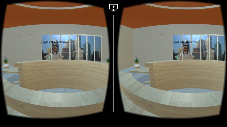VR Conference