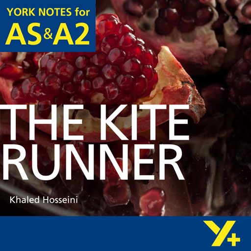 The Kite Runner York Notes AS and A2 icon