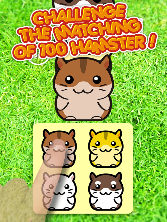 Screenshot #5 pour Hamster 100 Adorable Pet Friends