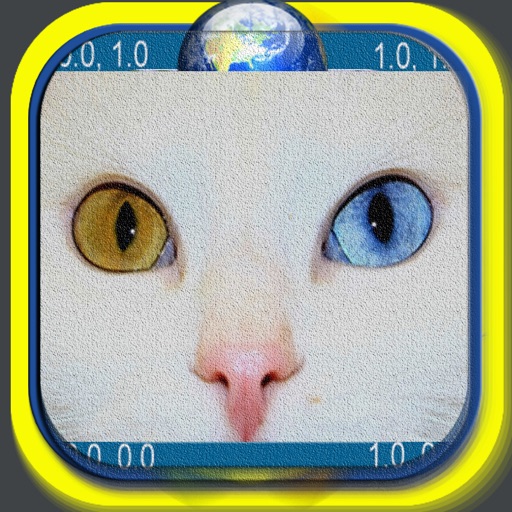 Funny Cat Puzzle iOS App