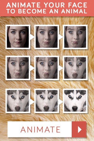 InstaAnimal Plus face & photo editor, effects FUN! screenshot 2