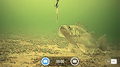 Screenshot #2 pour FishSens SondeCAM