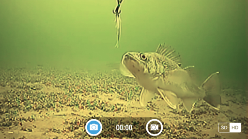 FishSens SondeCAM screenshot 2