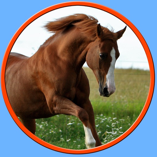 irresistible horses for kids - no ads icon