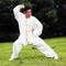 Take a master class in the martial art Tai Chi with this comprehensive collection of 556 training video lessons