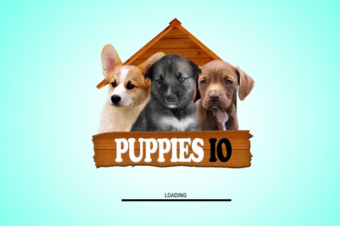 Puppies IO screenshot 4