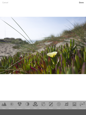 PhotoEffect - Free Pic and Photo Collage Maker & Grid Editor iPad screenshot 3 - Photo & Video app