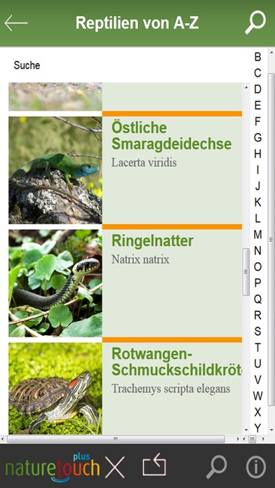 Schlangen, Eidechsen, Schildkröten bestimmen Screenshot