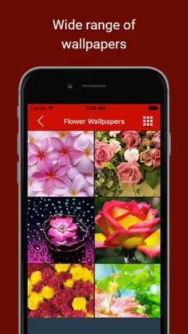 Game screenshot Love & Romantic Wallpapers : Backgrounds and pictures of valentine heart, flowers and polka dots as home & lock screen images hack