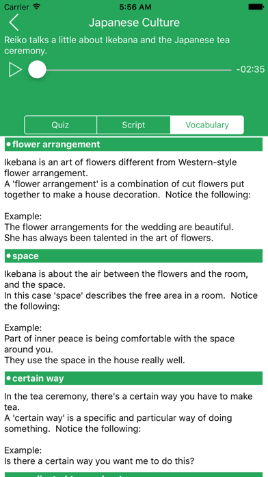 Natural English screenshot