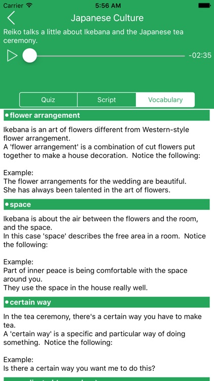 Natural English screenshot-4