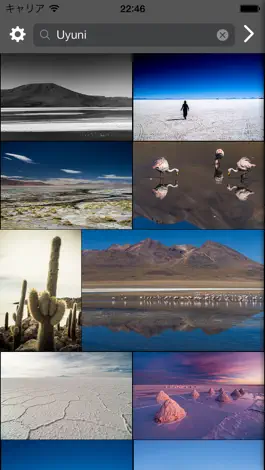 Game screenshot Photo Finder for Flickr apk