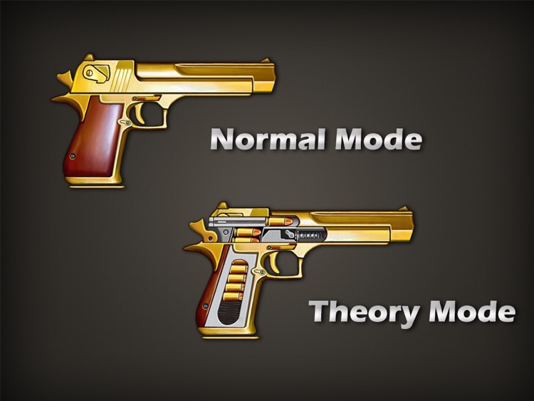 Gun Works Pro for Works, open gun, gun theory