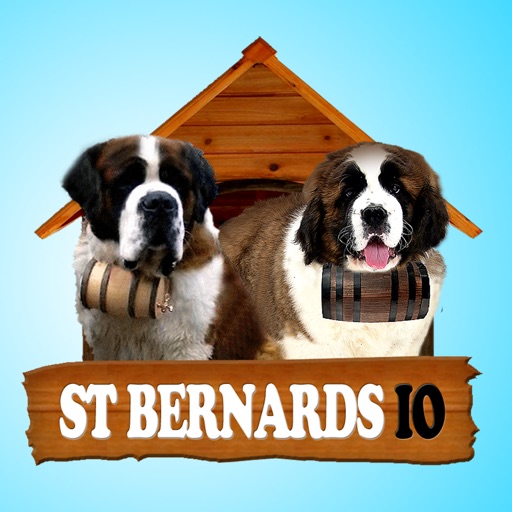 St. Bernards IO iOS App
