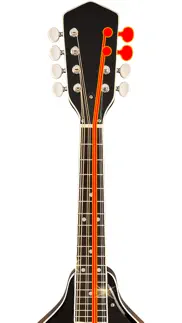 How to cancel & delete mandolin tuner simple 4