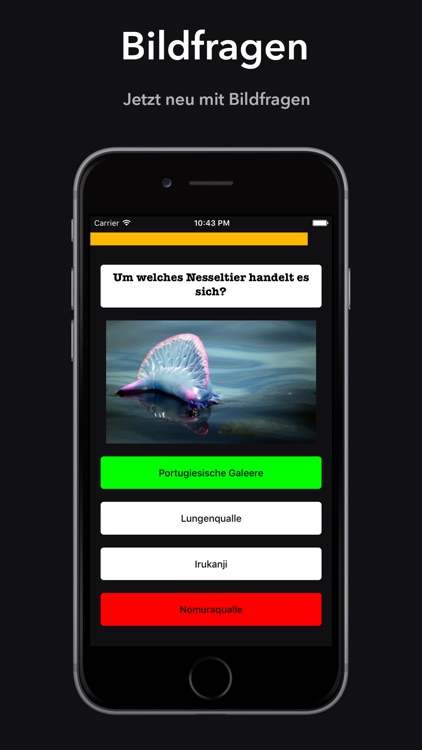 NerdQuiz - das Duell screenshot-4