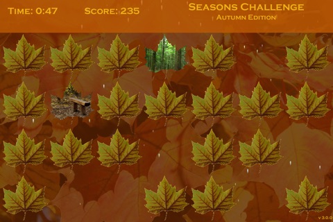 Seasons Challenge: Autumn Edition SD screenshot 3