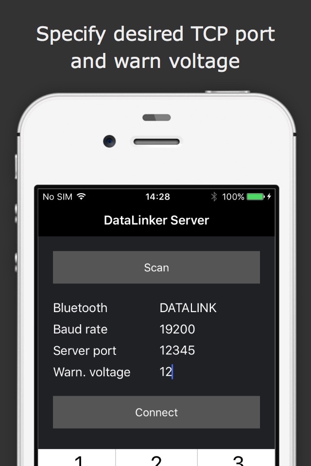 DataLinker Server screenshot 4