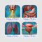 App Icon for Essential Reference Bundle: Nervous, Digestive, Reproductive, Urinary, & Respiratory App in Slovenia IOS App Store