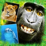 Download Animals - Cute Animal Wallpapers & Wild Life Backgrounds app