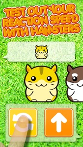 Hamster Dojo - Best Fun Pocket Games Play With My Littlest Pet Hamsters screenshot #2 for iPhone