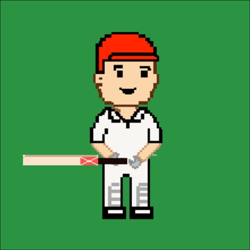 Mini Cricket Icon