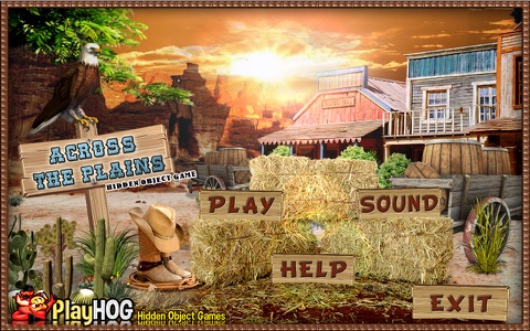 Across the Plain Hidden Object screenshot 3