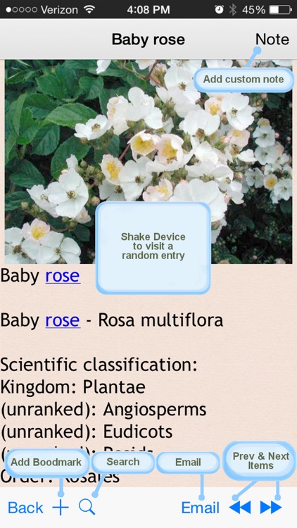 The Complete Plants Directory