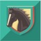 Hästkunskap - ordspel om hästar, ridning, ponny, ryttare, sadel, träns, hästraser, hinder, dressyr, hoppning, fälttävlan, ryttartävling, ridskola, ridläger mm