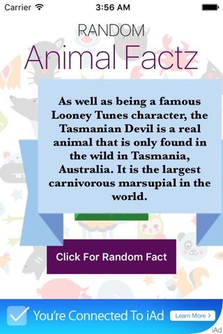 Animal Factz screenshot 3