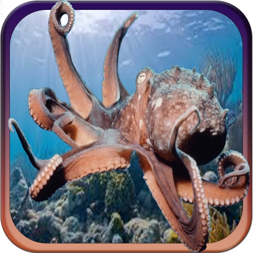 2016 Octopus Hunter Challenge Pro-Tentacle Sea Creatures Hunting Adventure icon