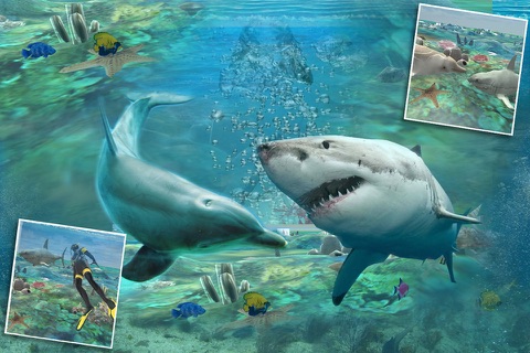 Wild Shark Attack vs Spear Fishing Scuba Diver 3D screenshot 2
