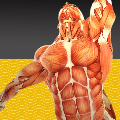 eliminar Muscle Test part 1