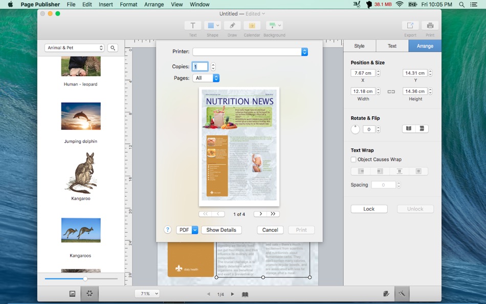 #2. Page Publisher - Graphic design and layout maker (macOS) 由: 虎龙 段